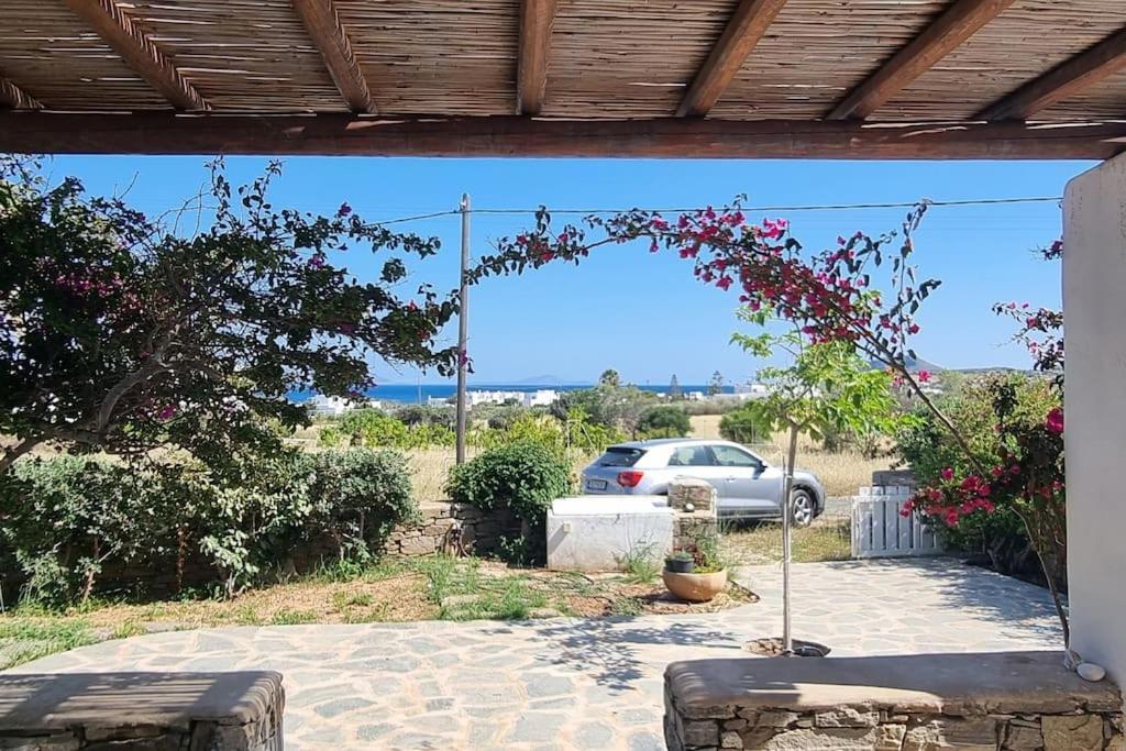 Villa Kalliopi Ambelas Paros Екстер'єр фото